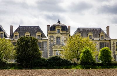 Château à vendre Thouars, Nouvelle-Aquitaine, Image 3/19
