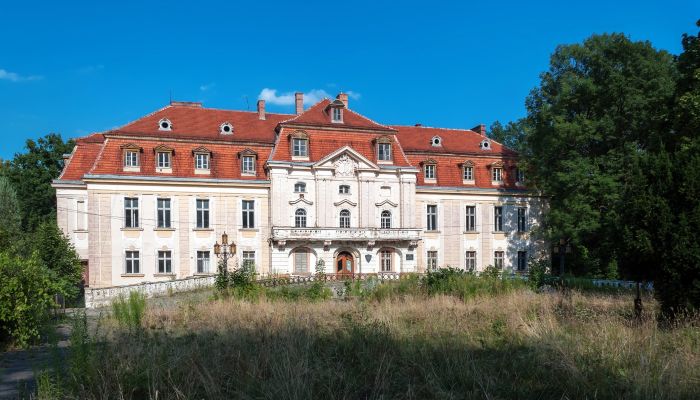 Château à vendre Roztocznik, Basse-Silésie