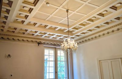 Château à vendre Łubie, Pyskowicka 34, Silésie, Image 14/20