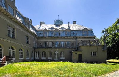 Château à vendre Łubie, Pyskowicka 34, Silésie, Vue de l'arrière