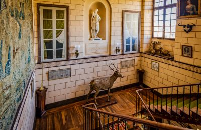 Château à vendre Nevers, Bourgogne-Franche-Comté, Image 10/17