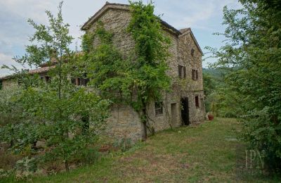 Maison de campagne à vendre 06010 Monte Santa Maria Tiberina, Ombrie, Image 25/50