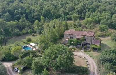 Maison de campagne à vendre 06010 Monte Santa Maria Tiberina, Ombrie, Image 14/50