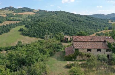 Maison de campagne à vendre 06010 Monte Santa Maria Tiberina, Ombrie, Image 15/50