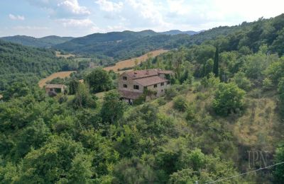 Maison de campagne à vendre 06010 Monte Santa Maria Tiberina, Ombrie, Image 16/50