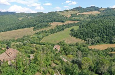 Maison de campagne à vendre 06010 Monte Santa Maria Tiberina, Ombrie, Image 17/50