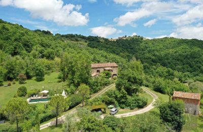 Maison de campagne à vendre 06010 Monte Santa Maria Tiberina, Ombrie, Image 6/50