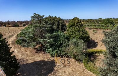 Propriété historique à vendre Francavilla Fontana, Pouilles, Image 12/34