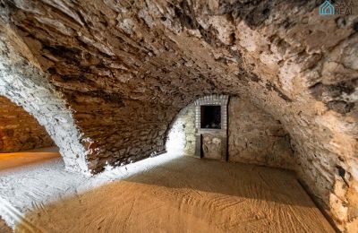 Manoir à vendre Rakovec nad Ondavou, Région de Košice, Cave