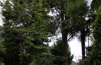 Demeure historique à vendre Faido, Tessin, Accès
