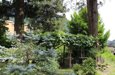 Demeure historique à vendre Faido, Tessin, Image 26/44