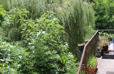 Demeure historique à vendre Faido, Tessin, Image 23/44