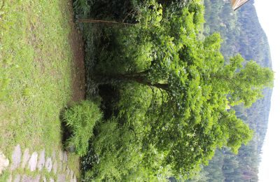 Demeure historique à vendre Faido, Tessin, Image 29/44