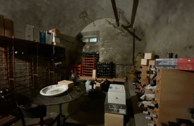 Demeure historique à vendre Faido, Tessin, Cantina vini
