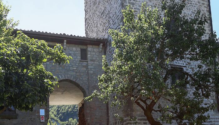 Tour historique à vendre 27050 Val di Nizza, Lombardie,  Italie