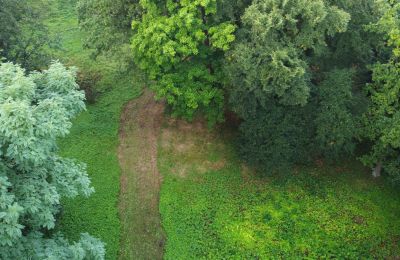 Parc historique Iłowa, Lebus