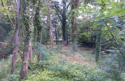 Parc historique à vendre Iłowa, Kolejowa 11, Lubusz, Image 9/17