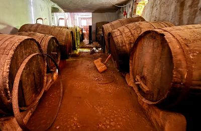 Hôtel particulier à vendre Ribera, Roma 37, Sicile, Cave à vin