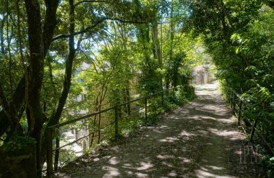 Moulin à vendre Cortona, strada provinciale 34, Toscane, Image 9/35