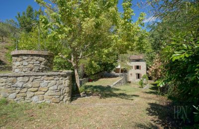 Moulin à vendre Cortona, strada provinciale 34, Toscane, Image 10/35