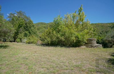 Moulin à vendre Cortona, strada provinciale 34, Toscane, Image 11/35