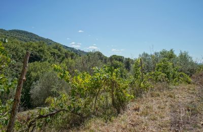 Moulin à vendre Cortona, strada provinciale 34, Toscane, Image 12/35