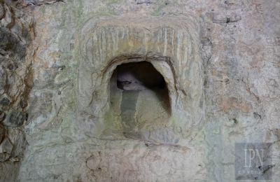 Moulin à vendre Cortona, strada provinciale 34, Toscane, Image 15/35