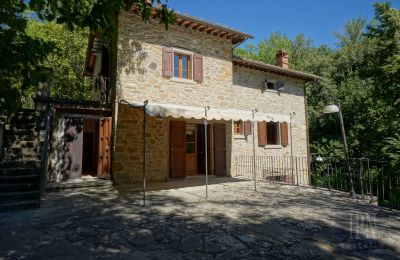 Moulin à vendre Cortona, strada provinciale 34, Toscane, Image 4/35