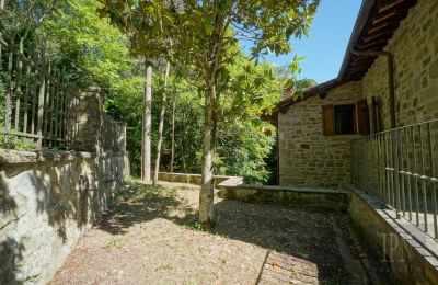 Moulin à vendre Cortona, strada provinciale 34, Toscane, Image 5/35