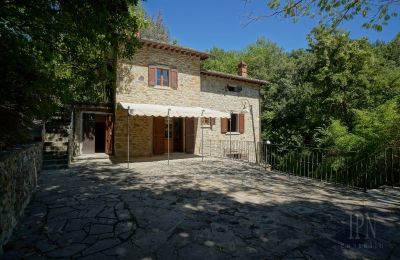 Moulin à vendre Cortona, strada provinciale 34, Toscane, Image 7/35
