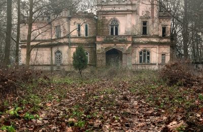 Château à vendre Cisie-Zagrudzie, Mazovie,, Image 4/4
