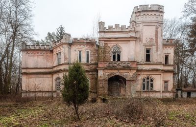 Château à vendre Cisie-Zagrudzie, Mazovie,, Image 1/4