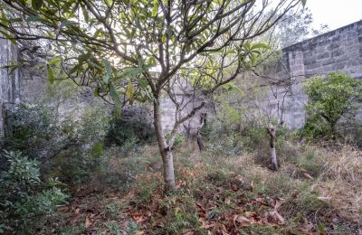 Maison de campagne à vendre Manduria, Via per Lecce km 2, Pouilles, Image 20/31