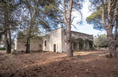 Maison de campagne à vendre Manduria, Via per Lecce km 2, Pouilles, Image 24/31