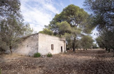 Maison de campagne à vendre Manduria, Via per Lecce km 2, Pouilles, Image 25/31