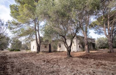 Maison de campagne à vendre Manduria, Via per Lecce km 2, Pouilles, Image 27/31