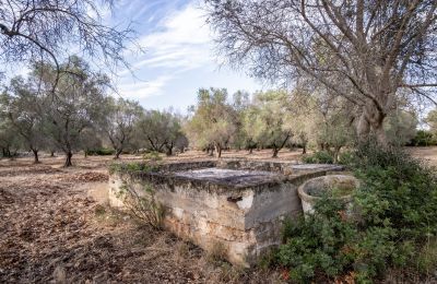 Maison de campagne à vendre Manduria, Via per Lecce km 2, Pouilles, Image 28/31