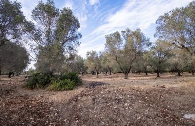 Maison de campagne à vendre Manduria, Via per Lecce km 2, Pouilles, Image 29/31