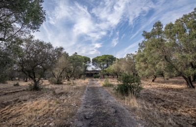 Maison de campagne à vendre Manduria, Via per Lecce km 2, Pouilles, Image 31/31