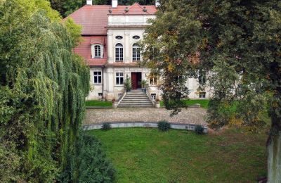 Manoir à vendre Popowo Stare, Pałac w Popowie Starym, Grande-Pologne, Image 5/19