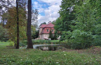 Manoir à vendre Popowo Stare, Pałac w Popowie Starym, Grande-Pologne, Lac/étang