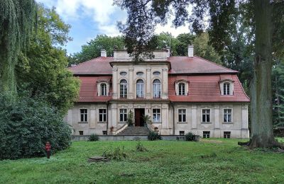 Manoir à vendre Popowo Stare, Pałac w Popowie Starym, Grande-Pologne, Image 4/19