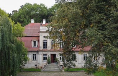 Manoir à vendre Popowo Stare, Pałac w Popowie Starym, Grande-Pologne, Vue frontale
