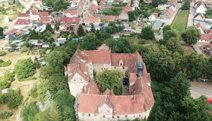 Château à vendre Mühlberg/Elbe, Brandebourg