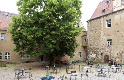 Château à vendre Mühlberg/Elbe, Schlossplatz 1, Brandebourg, Image 8/20