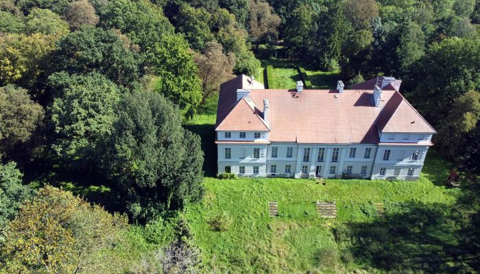 Château à vendre Siedlec, Grande-Pologne