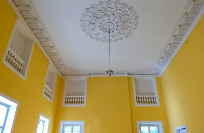 Château à vendre Siedlec, Pałac w Siedlcu, Grande-Pologne, Image 10/20