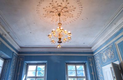Château à vendre Siedlec, Pałac w Siedlcu, Grande-Pologne, Salon