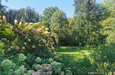 Moulin à vendre Netvořice, okres Benešov, Image 16/21