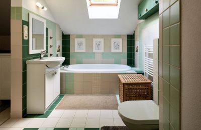 Moulin à vendre Netvořice, okres Benešov, Image 11/21